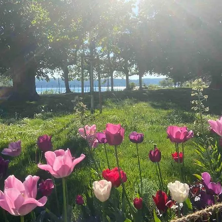 Daire Alpenblick Uberlingen