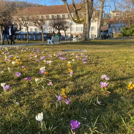 Appartement Alpenblick *