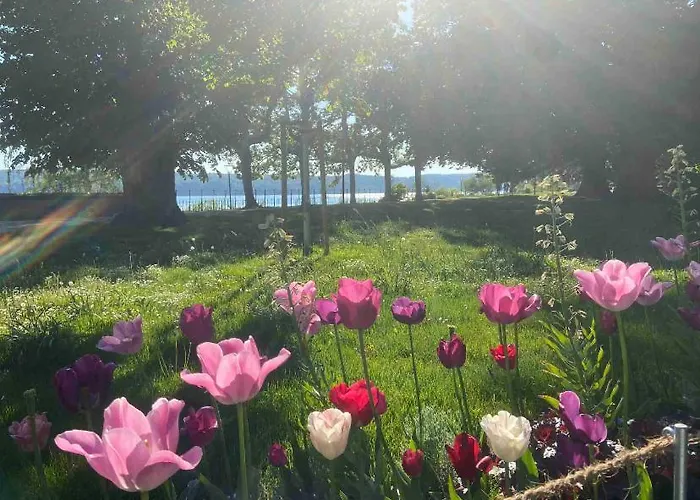 Апартаменты Alpenblick Иберлинген